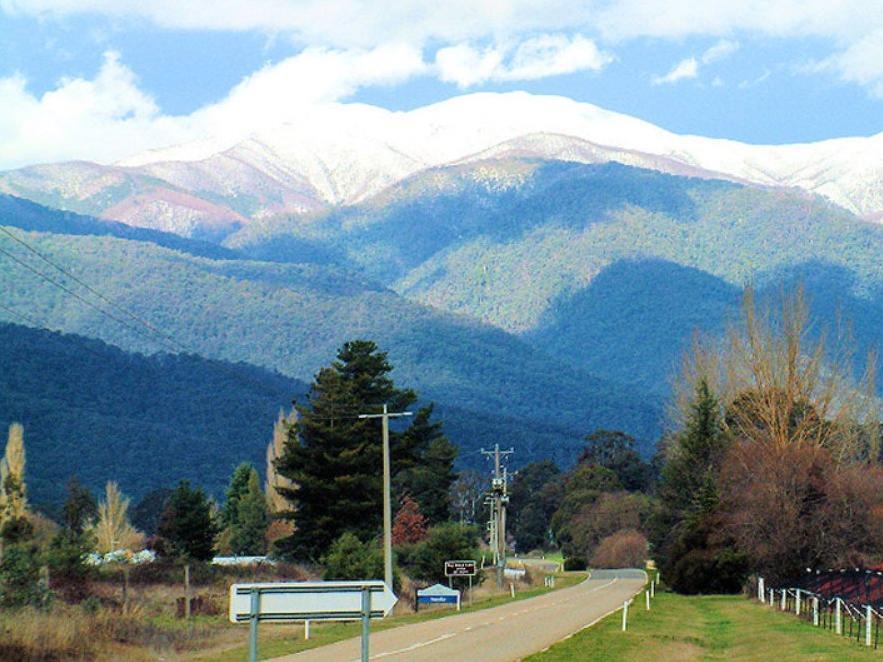 Alpine Riverside Cottages Porepunkah Exterior foto